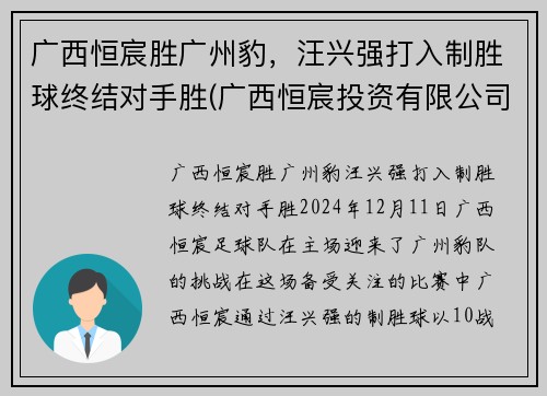 广西恒宸胜广州豹，汪兴强打入制胜球终结对手胜(广西恒宸投资有限公司开发楼盘)